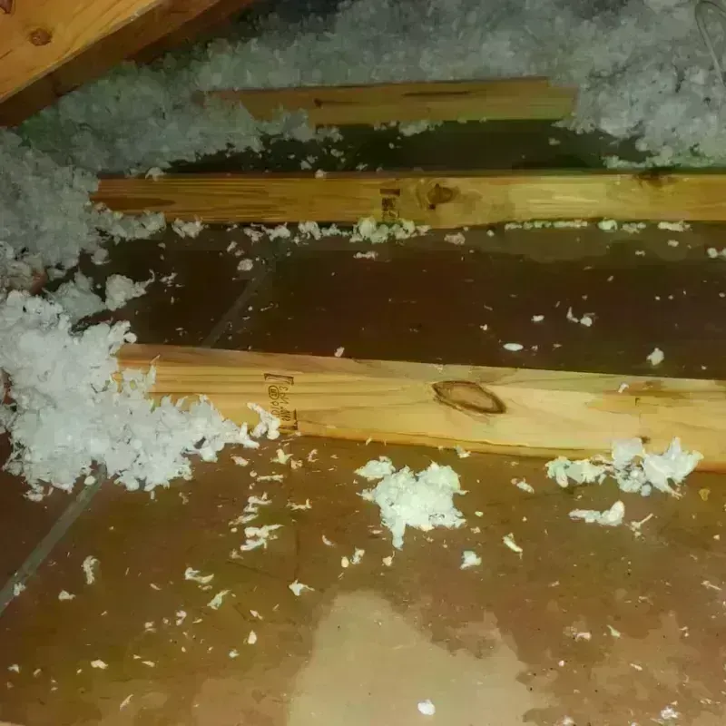 Attic Water Damage in Banks, OR