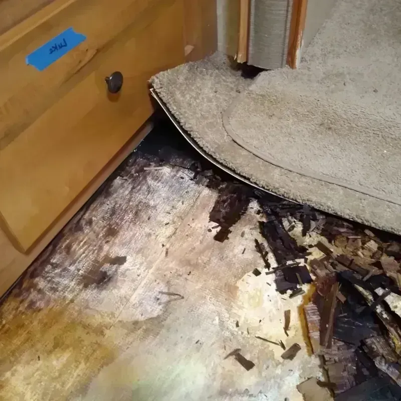 Wood Floor Water Damage in Banks, OR